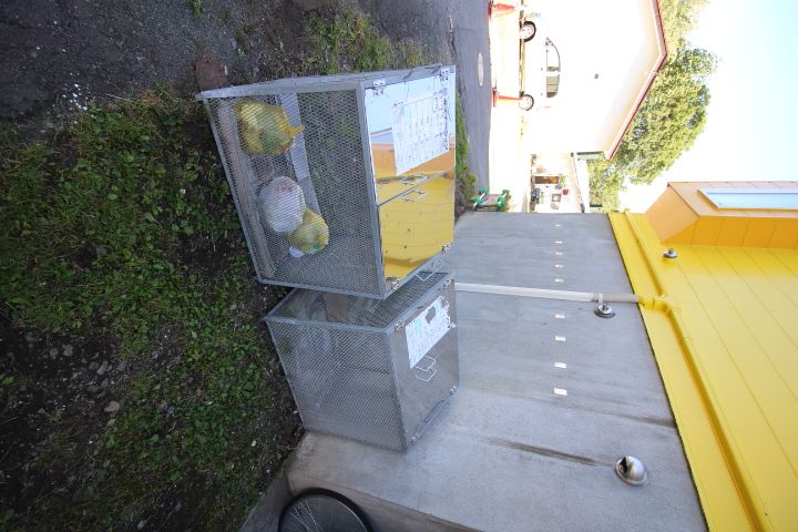 GRACIAS GASHINⅢ105のその他画像