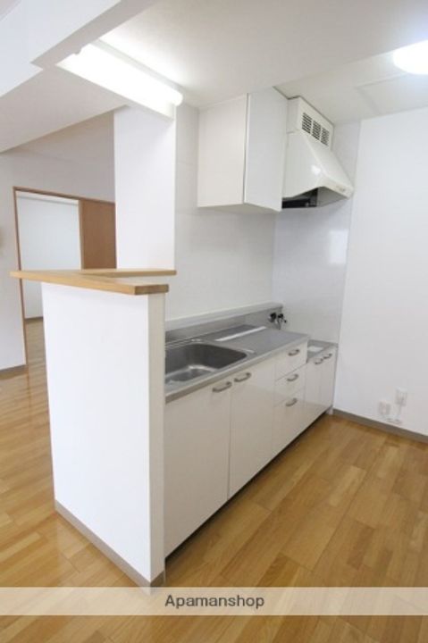 北海道札幌市中央区南十二条西14丁目の賃貸マンションのキッチン