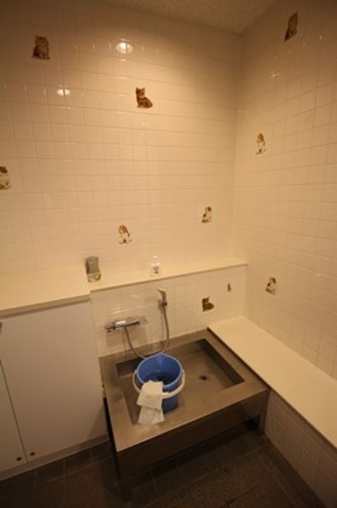 ティアラタワー中島倶楽部(Ⅰ−Ⅳ)のその他画像