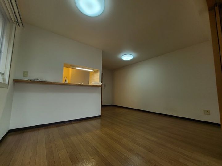 北海道札幌市中央区北七条西21丁目の賃貸マンションの居間