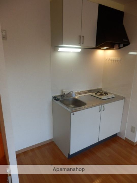 レラ円山のキッチン