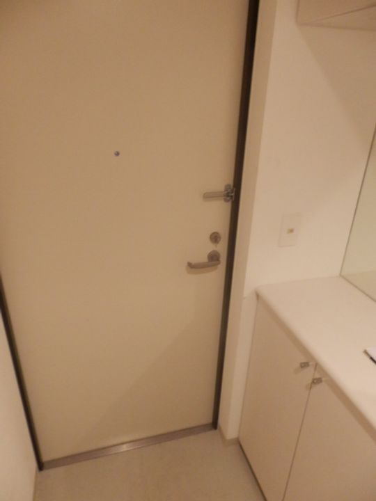 ラフィナート403の玄関