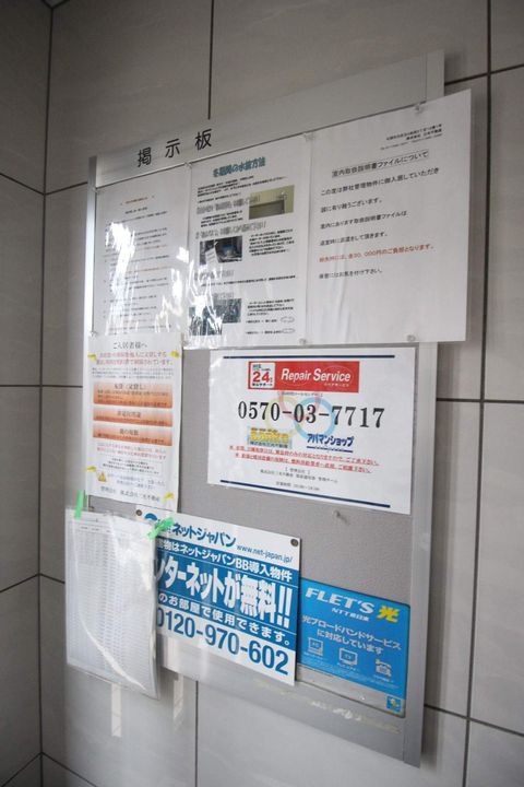 ラベンデール山鼻のその他画像