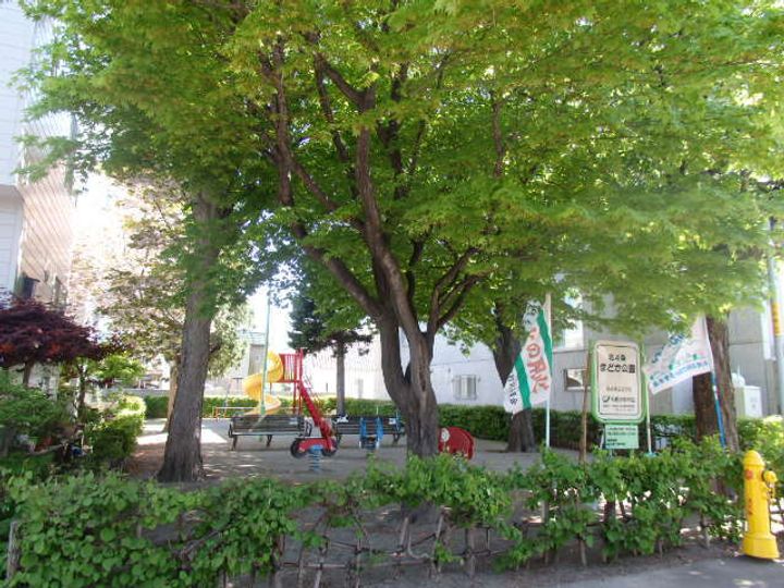 EーHORIZON北円山(北4西22)の周辺