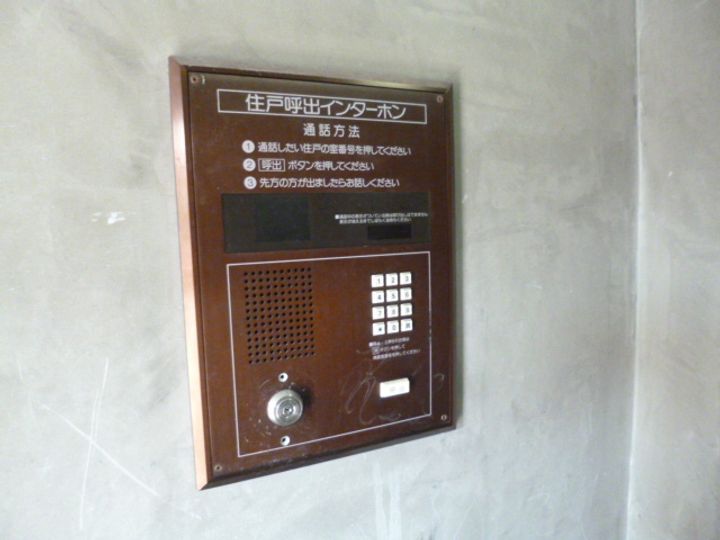 パピヨン・ドゥ・ラ・シレーヌ302のその他画像