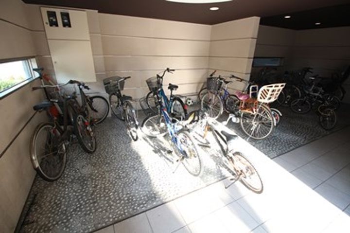 カレラ1113のその他画像