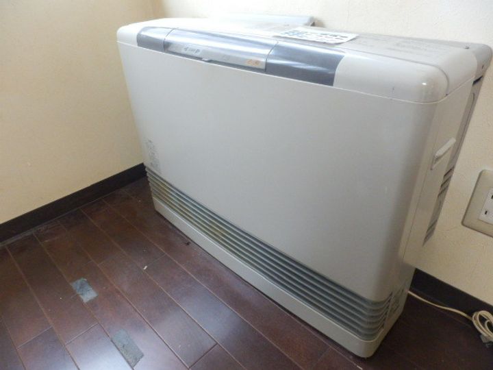 パピヨン・ドゥ・ラ・シレーヌ302のその他画像