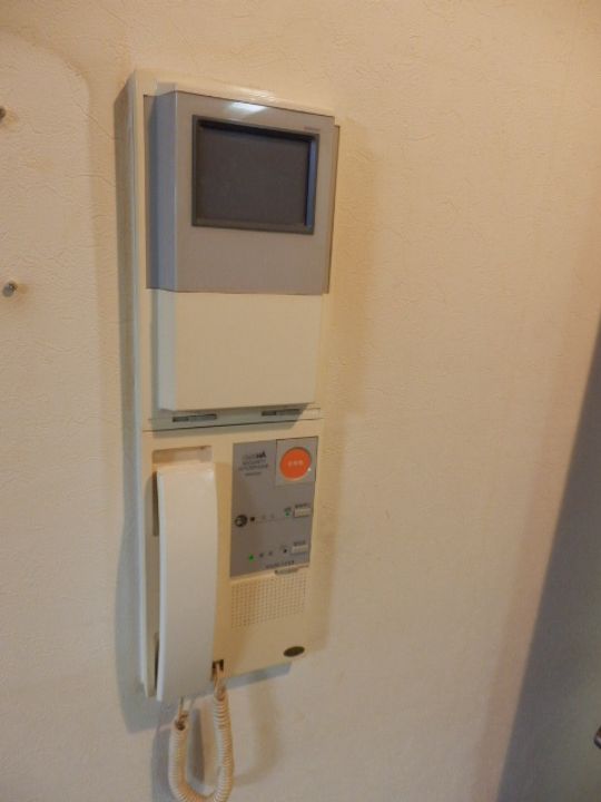 パピヨン・ドゥ・ラ・シレーヌ302のその他画像