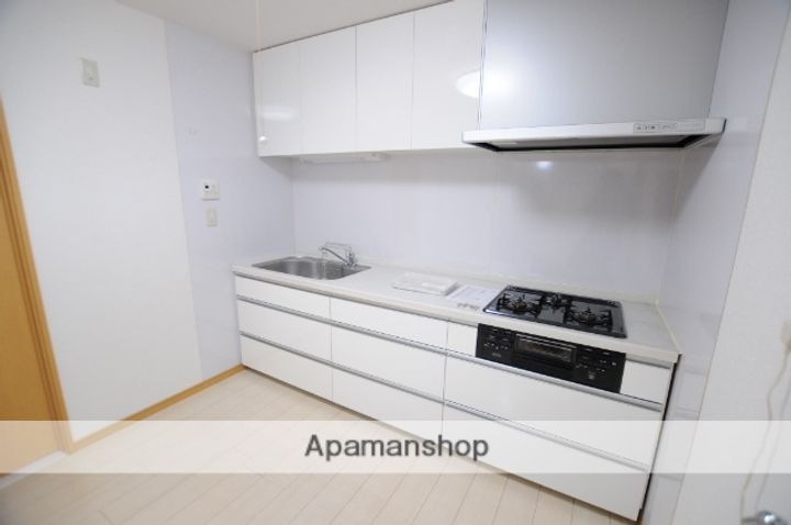 宮城県多賀城市八幡4丁目の賃貸アパートのキッチン