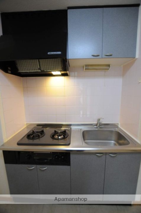 シティパル田子203のキッチン