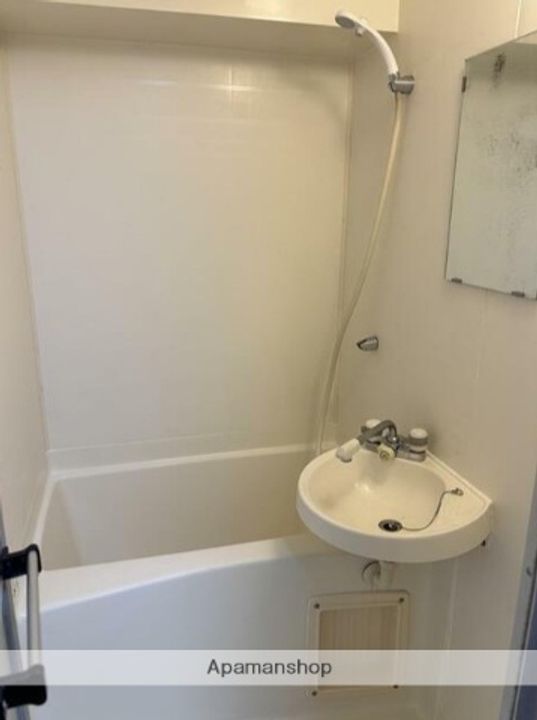 宮城県多賀城市中央1丁目の賃貸マンションの風呂