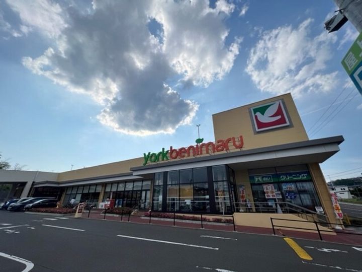 宮城県仙台市太白区西の平1丁目(一戸建)の賃貸物件戸建ての周辺