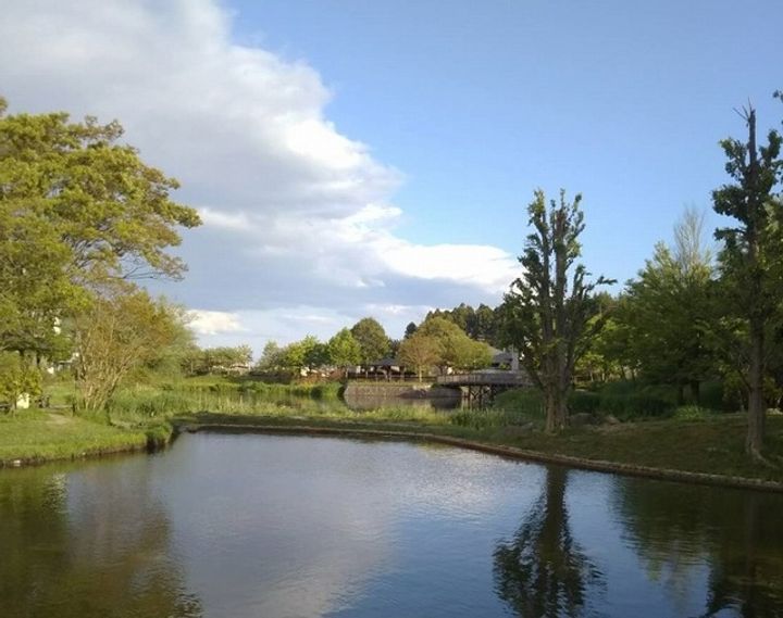 宮城県仙台市太白区西の平1丁目(一戸建)の賃貸物件戸建ての周辺