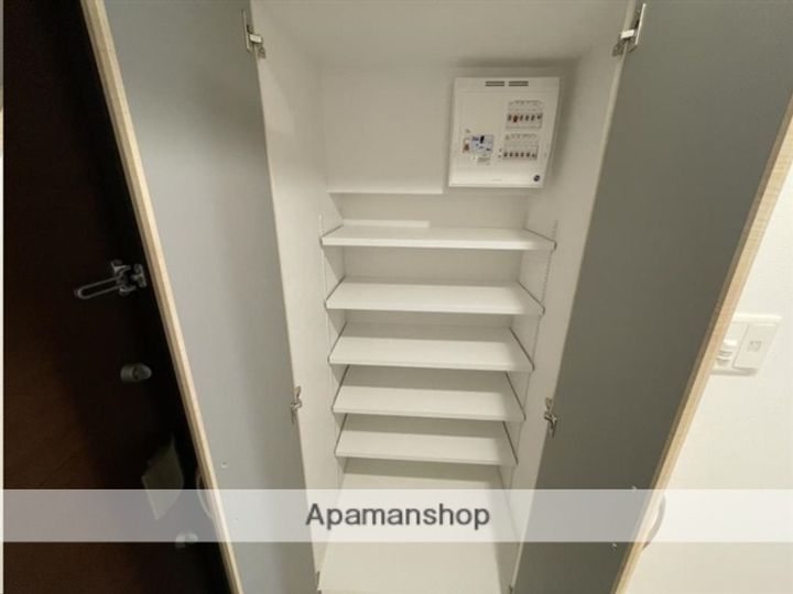 プラチナスイート五橋駅ガーデンコート705の内装