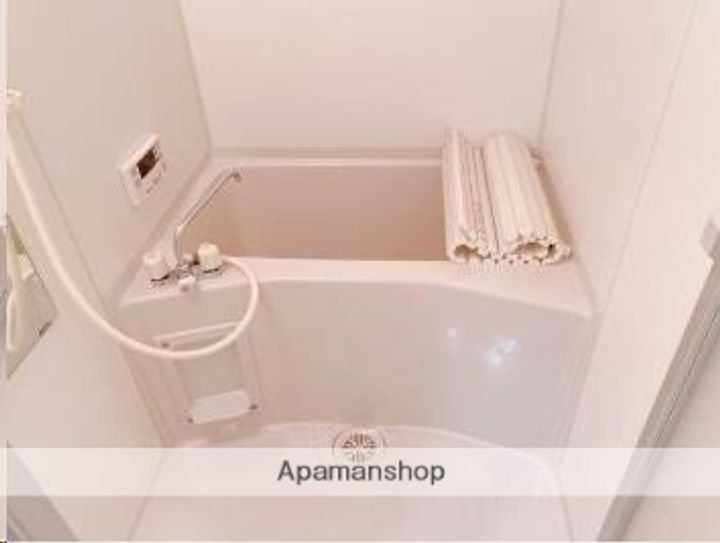 APPLE堤通雨宮ビルの風呂