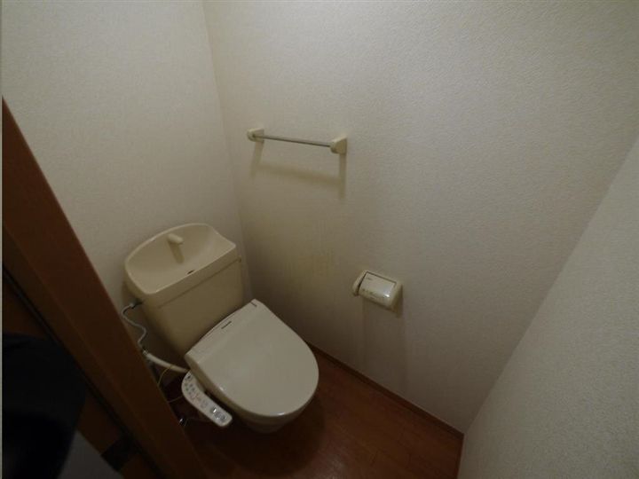 サンフラワー・Mのその他画像