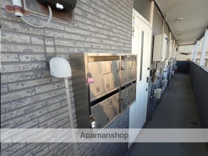 アビエス.ルーキー203のその他画像