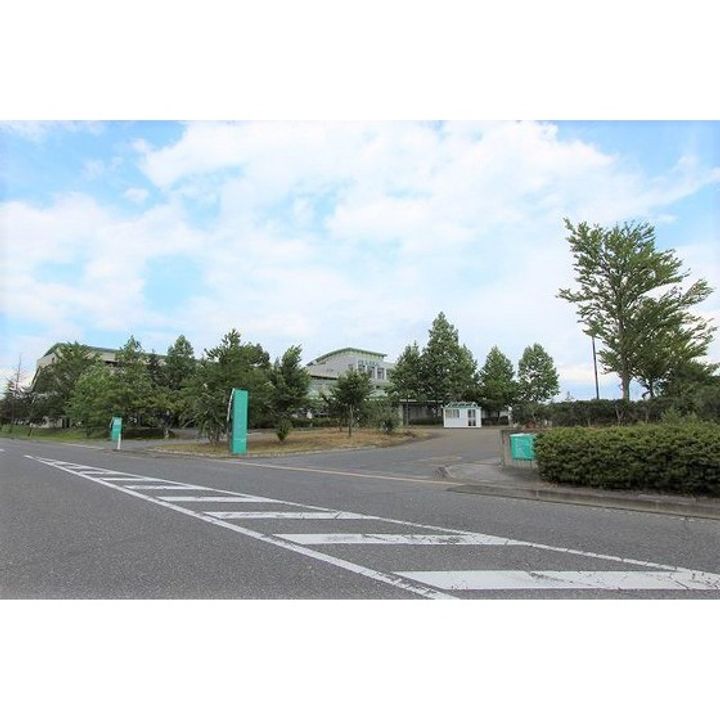 パルメゾンNⅡ101の周辺