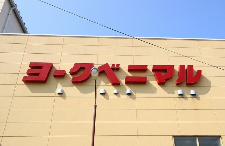 レオネクストプルーニャ113の周辺