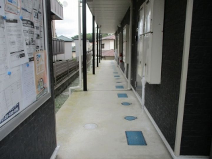 レオネクスト路家燕沢205のその他画像