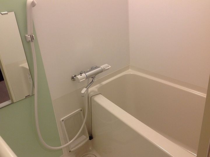 レオネクストヤマヨシ212の風呂