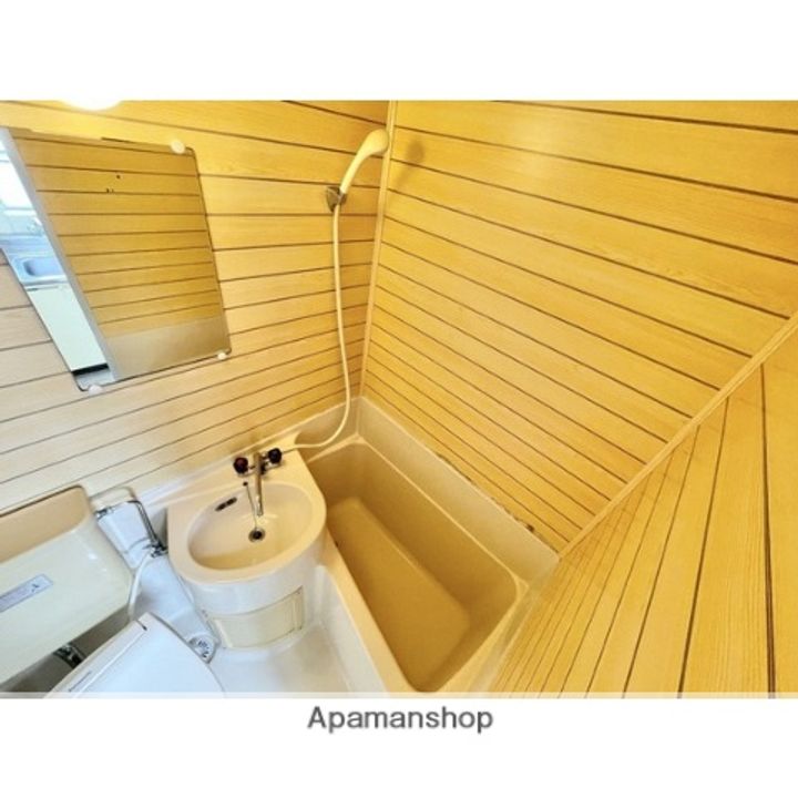 コーポ川内204の風呂