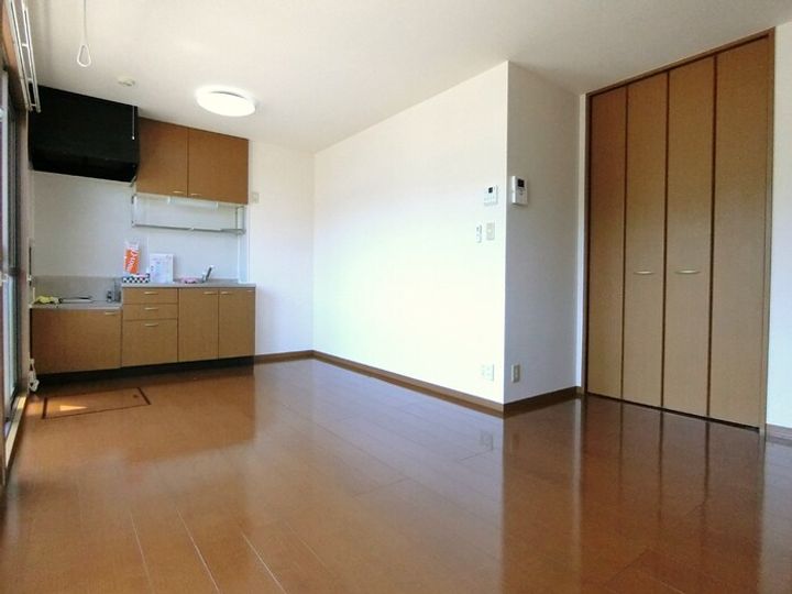 ウィルモア ABCDE館A101の居間
