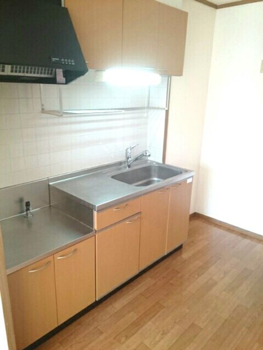 ハイツカトレアⅢ201のキッチン