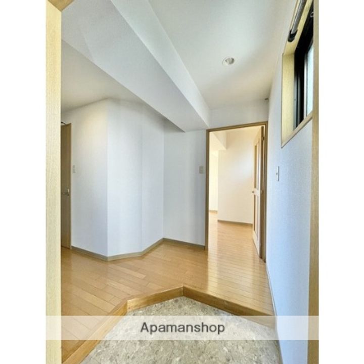 アールアイ向山403の玄関