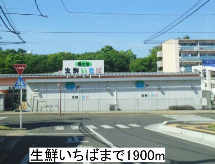 ミニョン・フルールの周辺