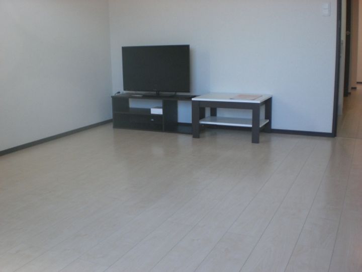 レオネクスト留ヶ谷C204のその他画像