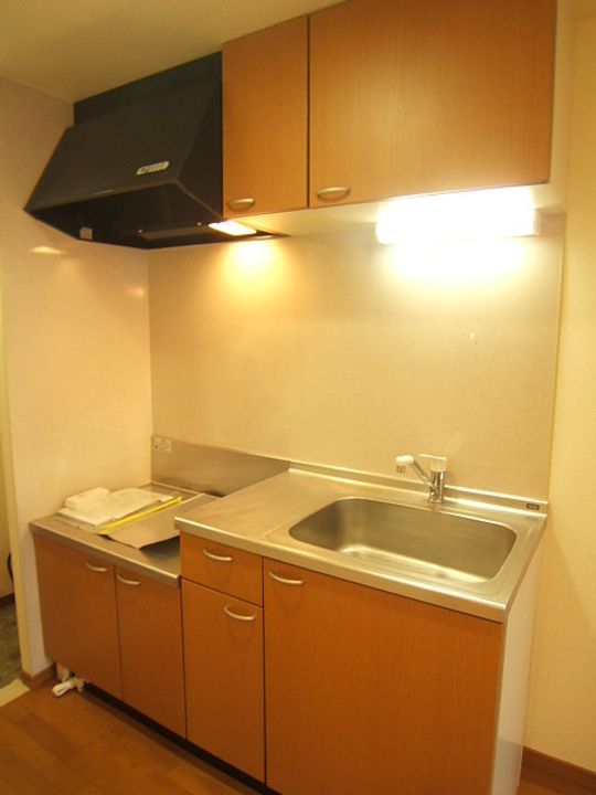 宮城県多賀城市留ケ谷2丁目の賃貸マンションのキッチン