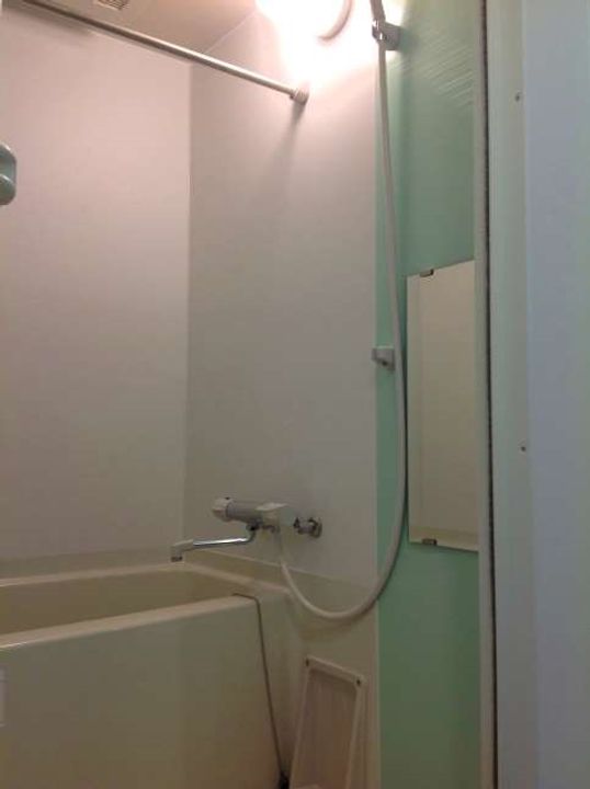 レオネクスト西新町203の風呂