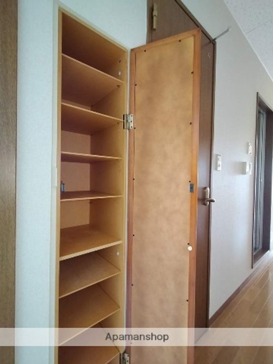 秋田県秋田市川元むつみ町の賃貸マンション203の内装