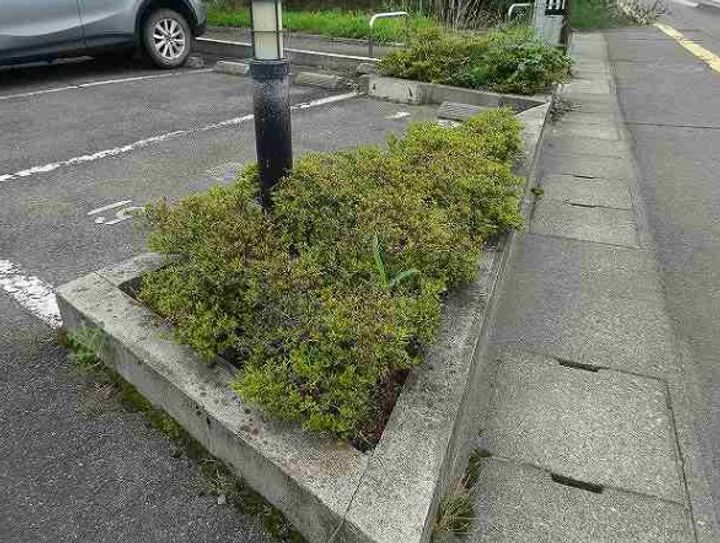 レオパレス未来206のその他画像