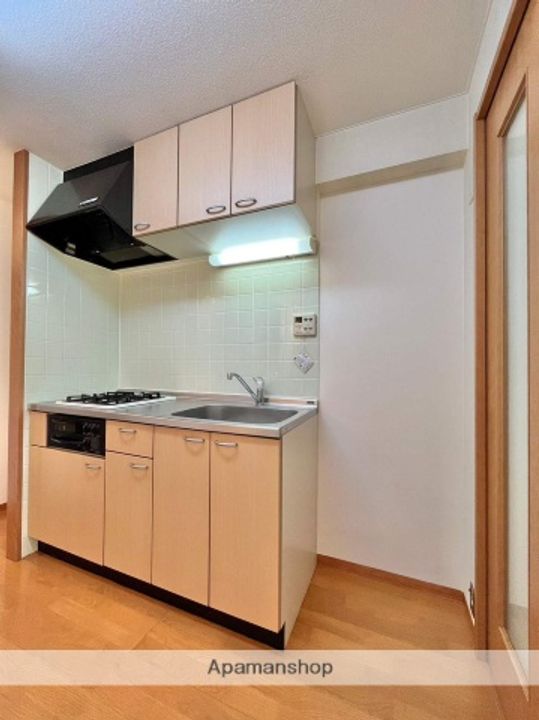 秋田県秋田市御所野元町3丁目の賃貸マンション504のキッチン