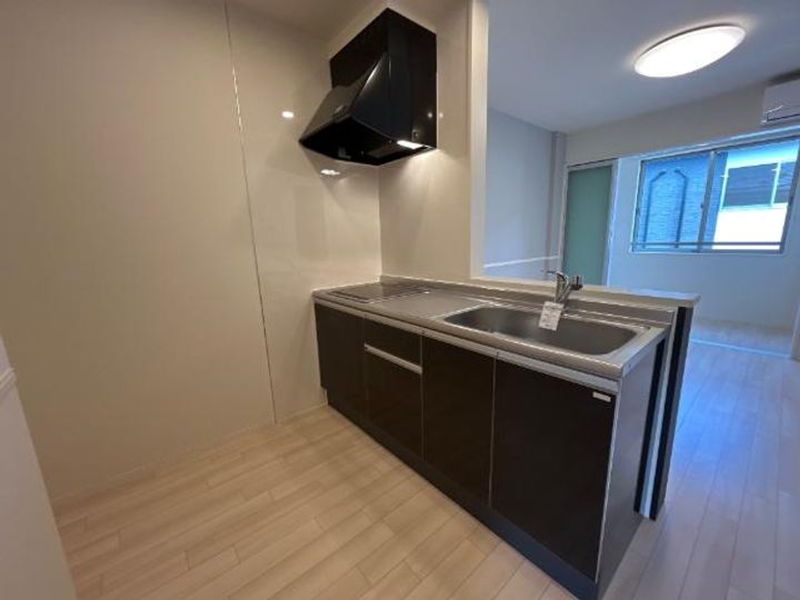 ルミエールⅠ205のキッチン