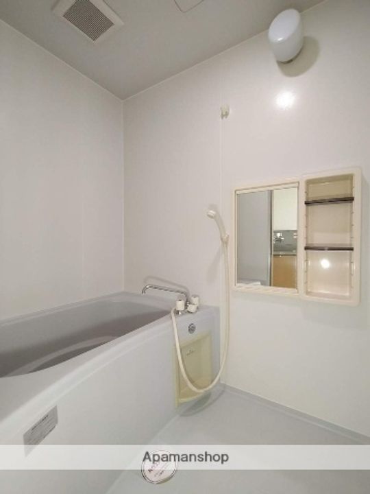 リバーシティーコート203の風呂