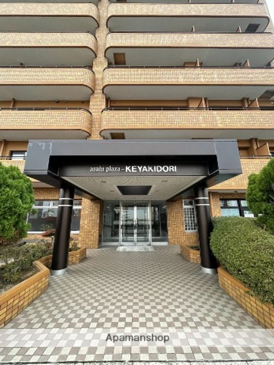 朝日プラザエザース欅通502の外観