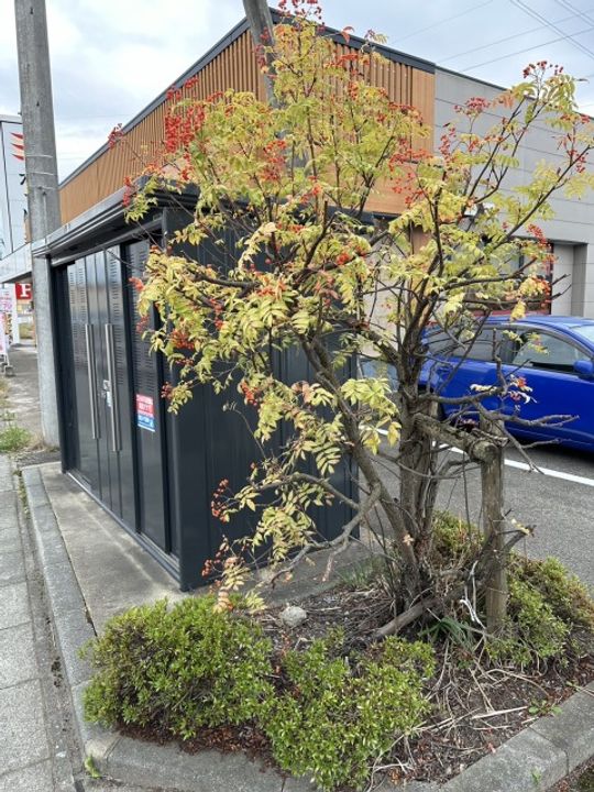 レオパレス横手こまち104のその他画像