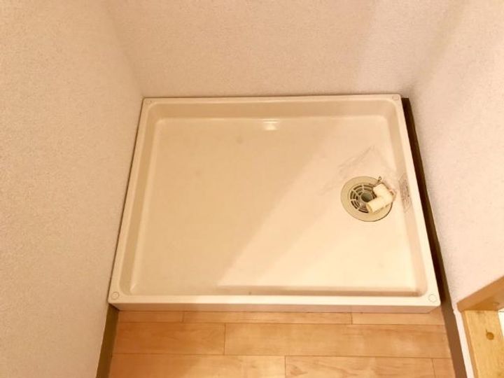 スイートピーのその他画像