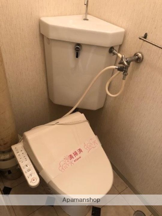 ヌーベル・ヴィエのその他画像