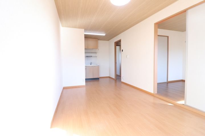 ロイヤルパレス将軍野 A201の居間