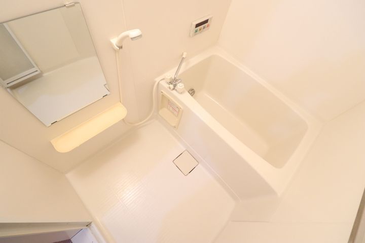 ロイヤルパレス将軍野 A201の風呂