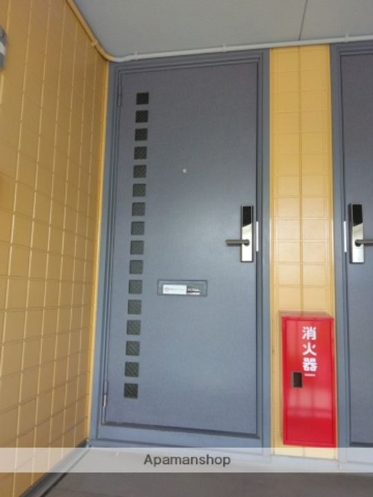 ディアスヘールボップのその他画像