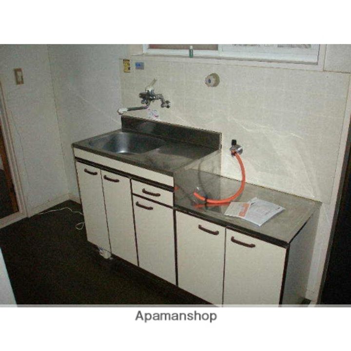 ザ・フューチャーハウス103のキッチン