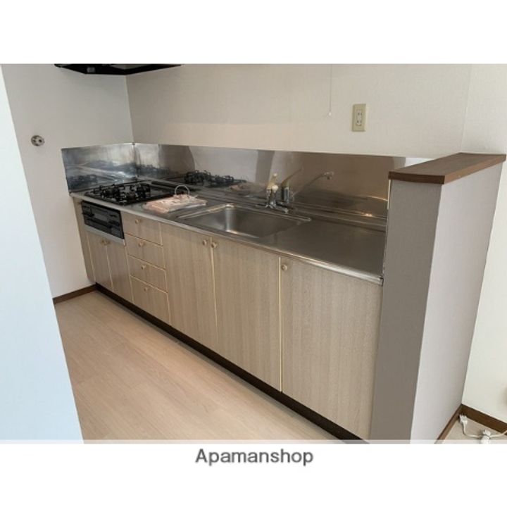 カーサ・ベルデ(南原町)102のキッチン