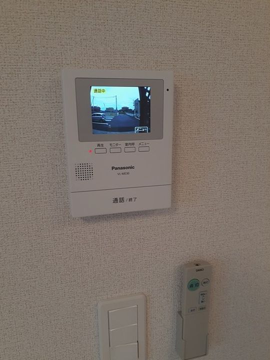 フラワールピナスのその他画像