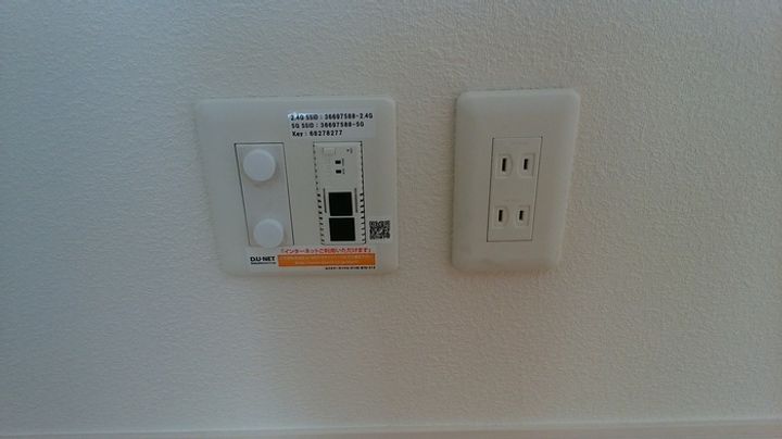 ポローニアのその他画像