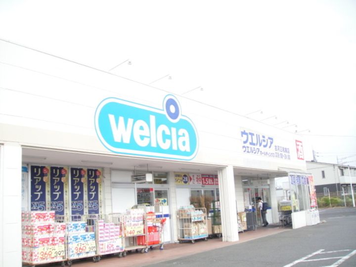 ポローニアの周辺